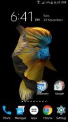 Betta Fish 3D screenshot 1