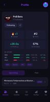 Betvisor Profile With Stats