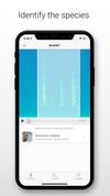 BirdNET screenshot 2