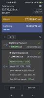 Bitcoin Simple Wallet screenshot 2