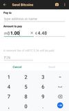 Bitcoin Wallet screenshot 2