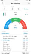 BMI Calculator by Steffen Mayer screenshot 3