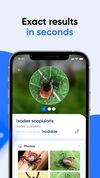 Bug Identifier screenshot 2