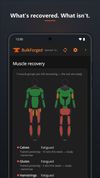 Recovery heat map. Each muscle is colored by how recovered it is, worked out from the sets you logged.