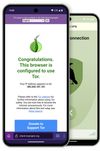 Tor Browser installed