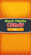 Block Puzzle Candy screenshot 1