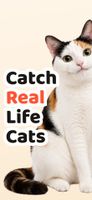 Cat Collector screenshot 1