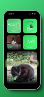Cat Weather screenshot 1