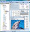 Classic MDI Interface