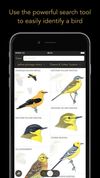 Collins Bird Guide screenshot 3