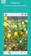 Color Grab screenshot 1