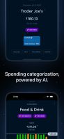 Copilot: Track &amp; Budget Money screenshot 2