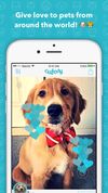 Cutesy - The cutest pets! screenshot 1