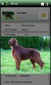 Top dogs screenshot 1