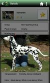 Top dogs screenshot 2