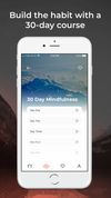 Declutter The Mind screenshot 2