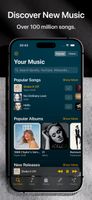 Demus: Easy Music Streaming screenshot 1