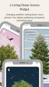 Digital Detox Tree: Focus screenshot 3