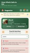 Food safety checker: is it safe for my dog to eat?