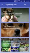 Dogs Daily Tips Free screenshot 3
