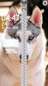 dogs lock screen zipper