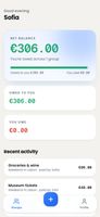 Home screen: your net balance across every group, what you are owed, what you owe, and recent activity.