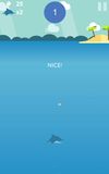 Dolphin Circle screenshot 1