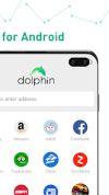 Dolphin Browser screenshot 2