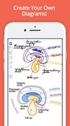 Draw it to Know it screenshot 3