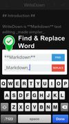 WriteDown screenshot 1