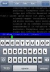 pTerm screenshot 1