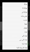 English to Urdu Dictionary screenshot 2