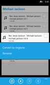 EZ MP3 Downloader screenshot 3
