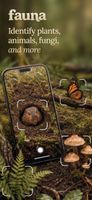 Snap a photo and Fauna identifies the species with a confidence score, plus shows lookalikes so you can tell similar species apart.