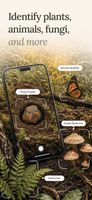 Snap a photo and Fauna identifies the species with a confidence score, plus shows lookalikes so you can tell similar species apart.