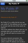 My Public IP screenshot 3