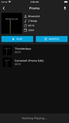 Finamp screenshot 2