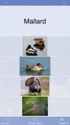 Flashcards Deluxe screenshot 2