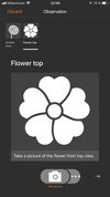 Flora Incognita screenshot 3