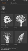 Flora Incognita screenshot 2