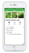 FlowerChecker screenshot 2