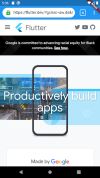 Flutter Browser screenshot 1