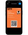User's Wallet Card