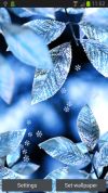 Fresh Leaves screenshot 3