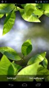 Fresh Leaves screenshot 1
