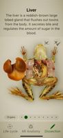 Froggipedia screenshot 1