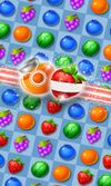 Fruit Garden Mania screenshot 2
