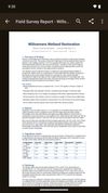 A Word document