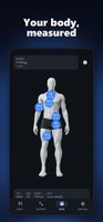 Body measurements and Navy-method body fat, charted over time.