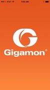 Gigamon screenshot 1